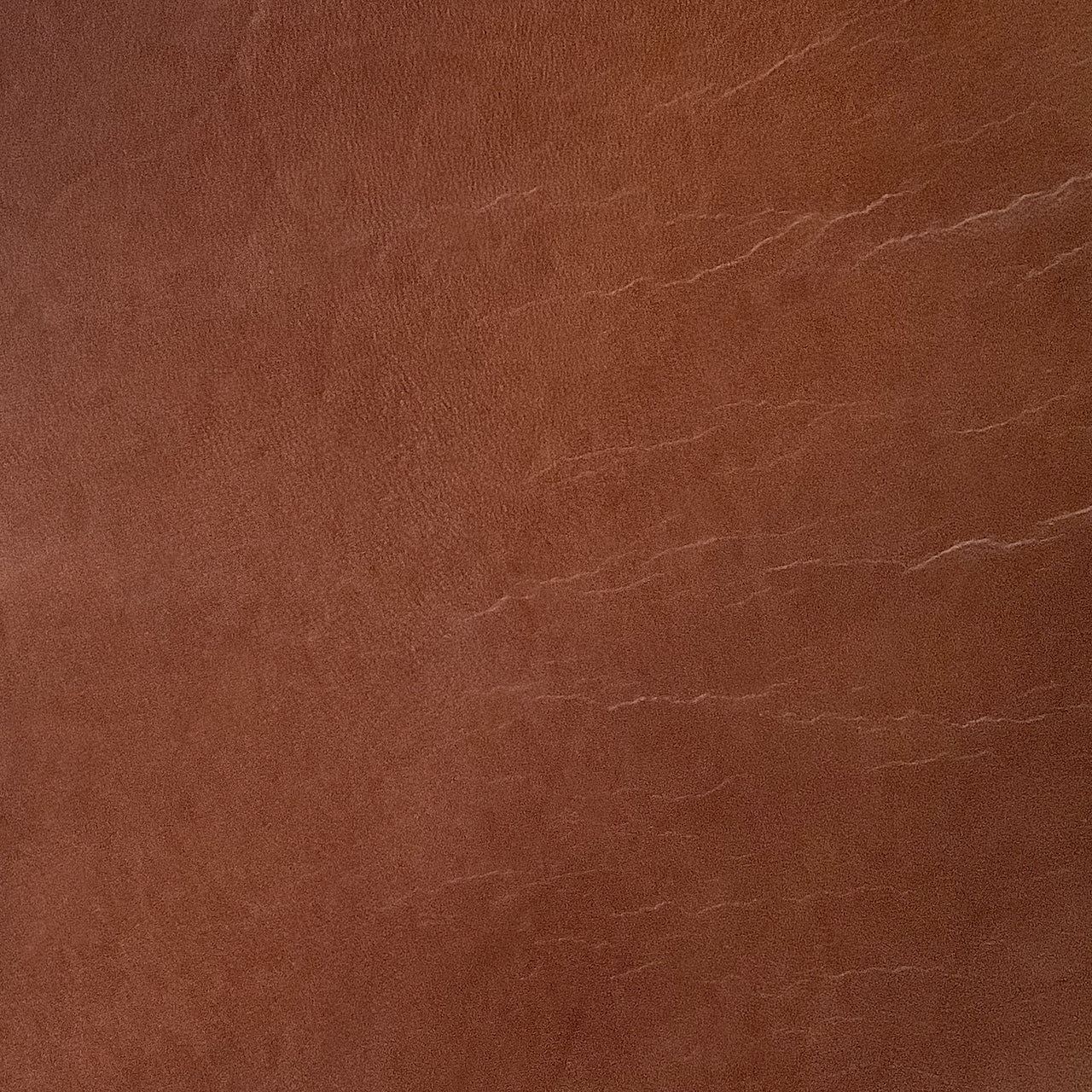 シワと血筋の痕跡の例　<span class="asterisk">本体の一部に使用する場合があります。可能な限り本体の背面や内側になるように生産するため、一見、通常製品と差が分からない場合があります。</span>